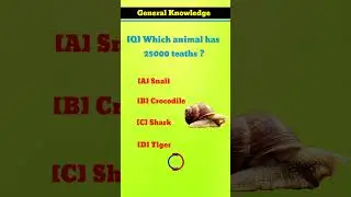 which animal has 25000 teaths // interesting animal GK // GK facts