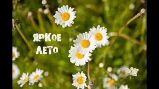 Яркое лето моих третьеклассников 2023