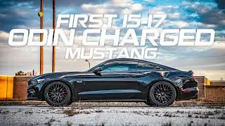 Project Odin || '15-'17 Mustang GT Odin Dyno Results || Review