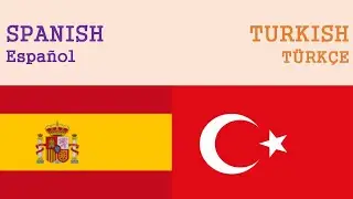SIMILARITIES BETWEEN TURKISH and SPANISH