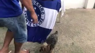 Atlético Cruzeiro cachorro mijando