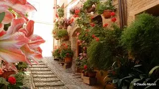 UMBRIA - SPELLO Balconi e Vicoli fioriti 2016 - HD