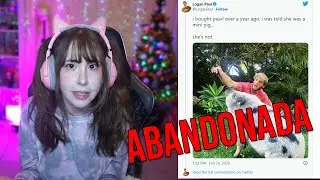 La Abandonó por No Pagar Impuestos | #loganpaul