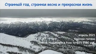 Странный год странная весна Красная Поляна апрель 2021