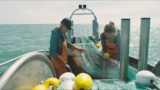 The Salmon Sisters | Puffin Collection