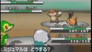 Pokemon Black and White - Pokemon battles between all Pokemon revealed in the Corocoro scans