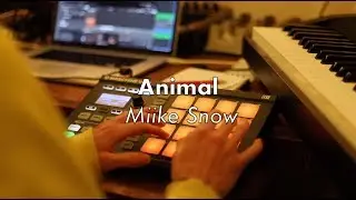 Animal - Miike Snow (Cover)