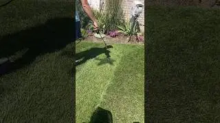 Hope y’all had a happy 4th of July. Fun little lawn project. #lawn #lawncare #lawnandgarden #diy