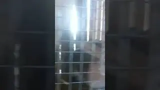 кролики🐇