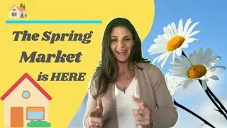 Latest Spring Buyer and Seller Guides | Explained