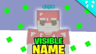 😮 BEING INVISIBLE WITH VISIBLE NAMETAG! | 