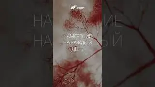 Намерение на каждый день. Александр Палиенко.