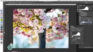Cómo crear un efecto de luz solar con Photoshop