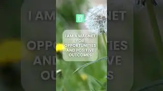Saturday Serenity: Attract Abundance