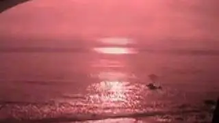 Scott Bilotti - Vigil by the Sea