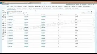 Sap Hybriss C4c video