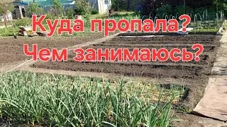 Будни дачника😊