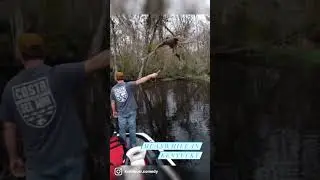 Close Encounter With The Owl Kind #animals #outdoors