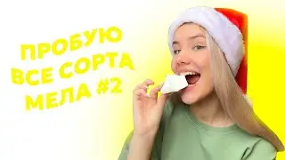 ПРОБУЮ ВСЕ ОСНОВНЫЕ СОРТА ПРИРОДНОГО МЕЛА #2 // ем мел с wildberries *описание каждого сорта, ASMR?*