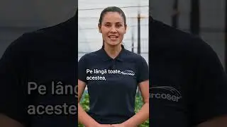 Cum Aleg Hibridul de Tomate Potrivit Pentru Ciclul 2? - Marcoser