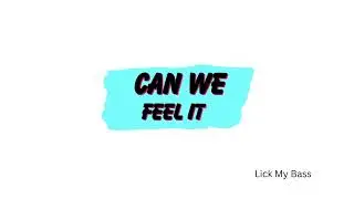 Lick My Bass - Can We Feel It