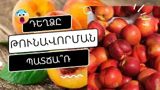 Ու՞մ է հակացուցված դեղձը... Հնարավոր է արդյո՞ք, դեղձից թունավորումներ... Բացառիկ մանրամասներ
