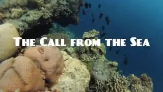 The Call From the Sea Trailer