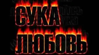 Таймер - На Сука, получай