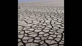 Пустеля на дні Каховського водосховища
