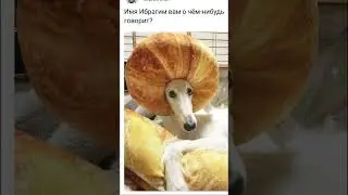 ИМЯ ИБРАГИМ ВАМ О ЧЕМ-НИБУДЬ ГОВОРИТ?... | РЖАКА | 
