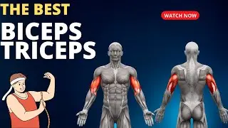 Double Your Arms With This Exercise