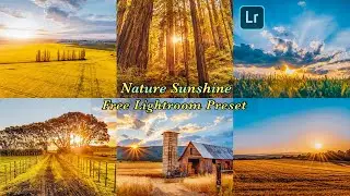 Nature Sunshine Filter || Lightroom Presets DNG & XMP Free Download | Nature Sunshine Preset