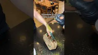 İşletmelerde az sos koyma problemi! #gaziantep #adana #food