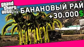 ОТЛИЧНЫЙ АФК ЗАРАБОТОК для НОВИЧКОВ! ФЕРМА на Majestic RP в GTA 5 RP | +ТАБЛИЦА с ЗАРАБОТКОМ