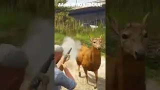 ОХОТИЛСЯ 24 ЧАСА и ПРОИЗОШЛО ЭТО на GTA 5 RP #Shorts