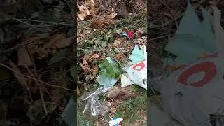 Київ. Безлад і бруд на головному цвинтарі країни.