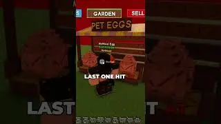 WHEN is Blood Moon in Grow a Garden?