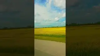 9 июля 2023 г.