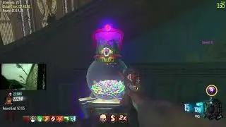 World Record Bo3 | Kino der Toten R30 SR 29:54.90 2P Mega Gum