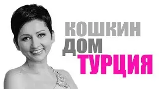 В Турции для бездомных кошек на улицах построены домики.