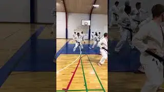 Yamaguchi-Sensei leading the class through kata Nijushiho