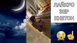 Ин гариб бача хамара ба гиря овард