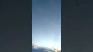 птицы полетели с юга на север. север, жди весну!