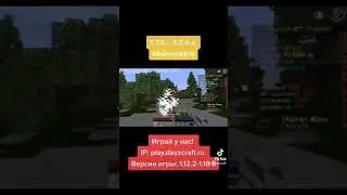 Stalker зомби 