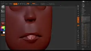 Cartoon 3D Modeling and texture.