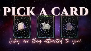 Why Are They Attracted To YOU? 🔥💞🌹⚡️ | Pick A Card Tarot | General Love/Attraction Reading🔮💫