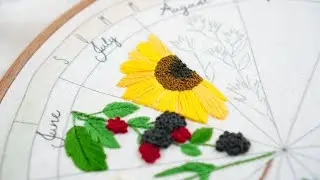 Phenology Wheel, Video 8 - July