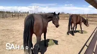 Hay-Time: Learn Some Names