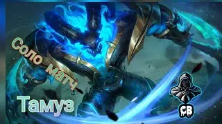 Играю соло в рейтинге на герои Тамуз-Mobile Legends Bang Bang