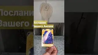 #мчд
